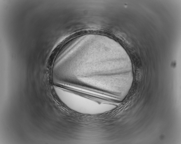 X0000097951208200804070956