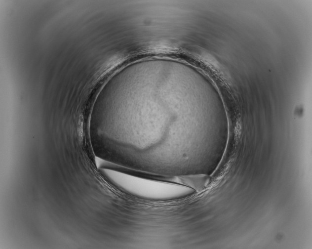 X0000097951209200804070956