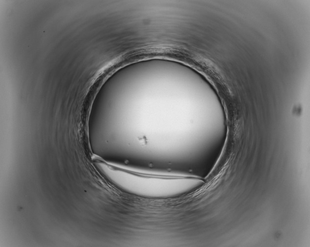 X0000097951210200804070956