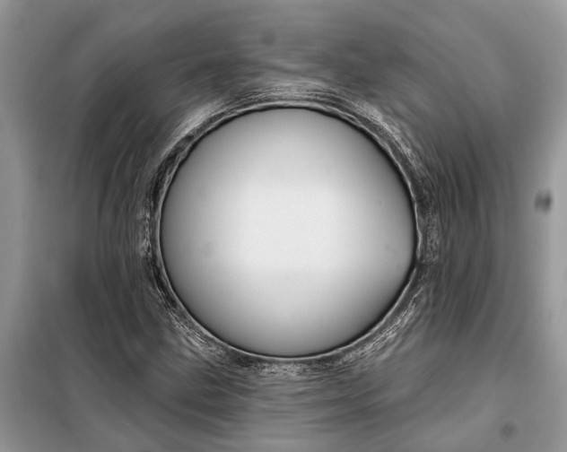 X0000097951211200804070956