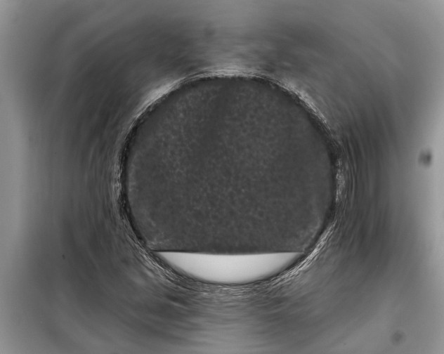 X0000097951213200804070956