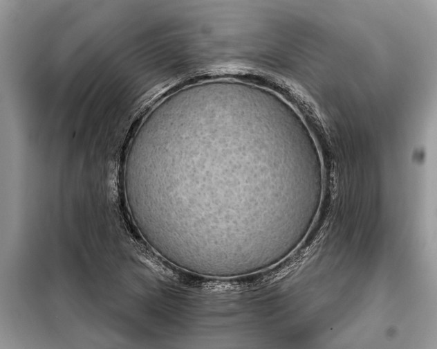 X0000097951217200804070956
