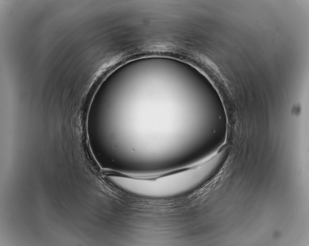 X0000097951218200804070956
