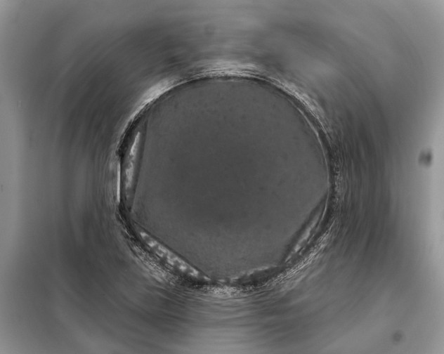 X0000097951219200804070956