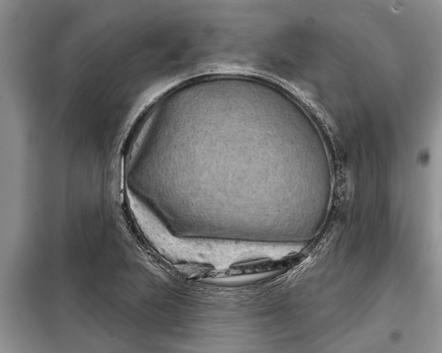 X0000097951223200804070956