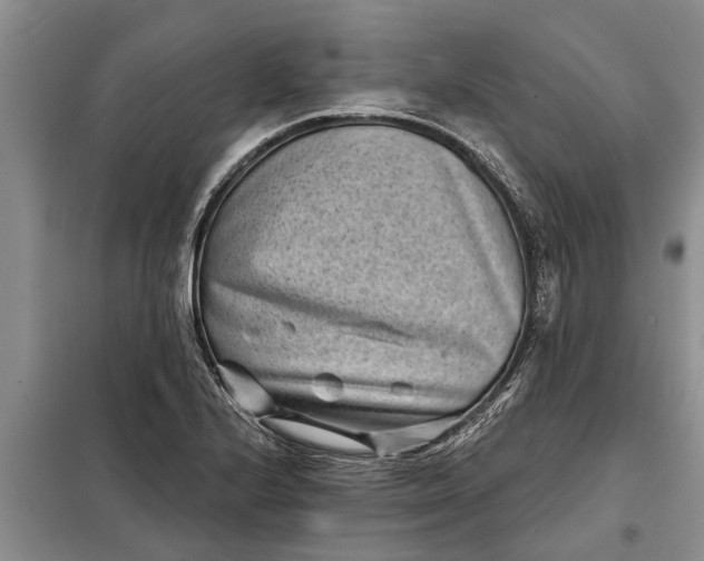 X0000097951224200804070956