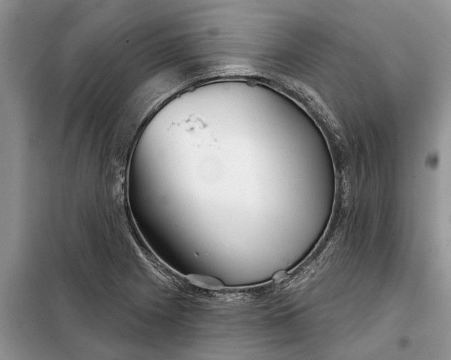 X0000097951225200804070957