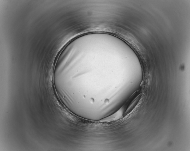 X0000097951228200804070957