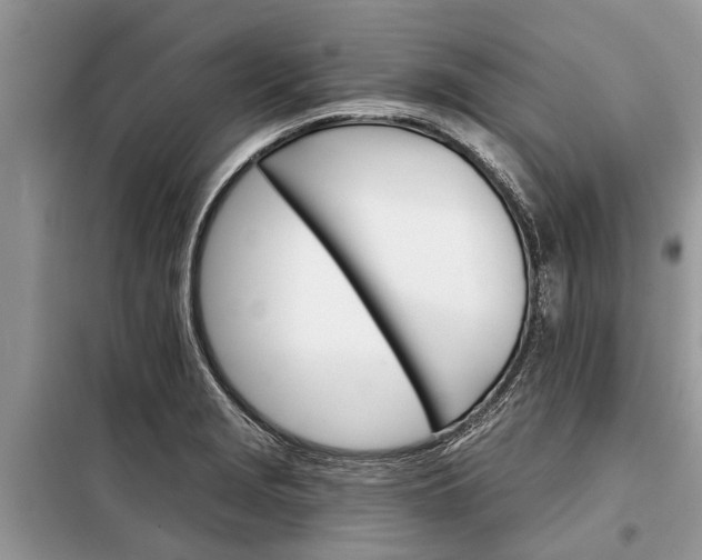 X0000097951229200804070957