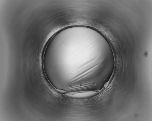 X0000097951230200804070957
