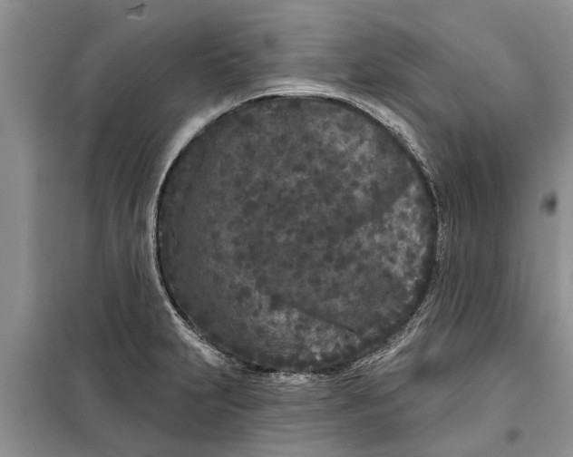 X0000097951231200804070957