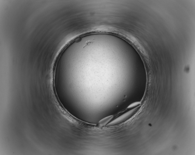 X0000097951232200804070957