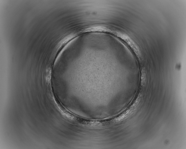 X0000097951233200804070957