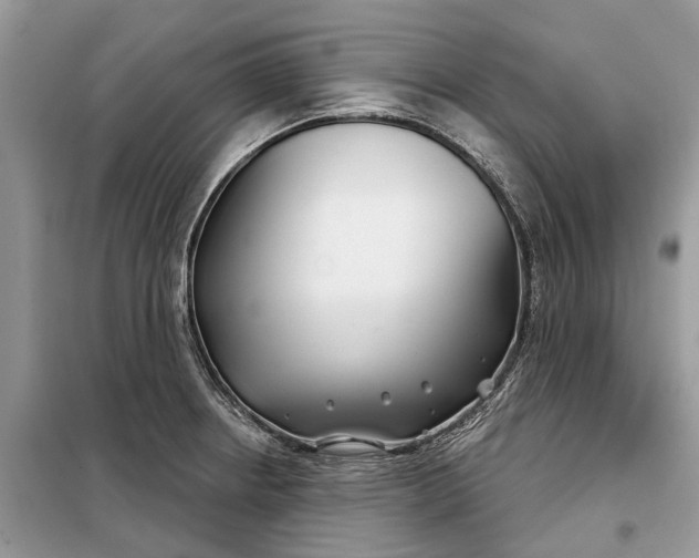 X0000097951234200804070957