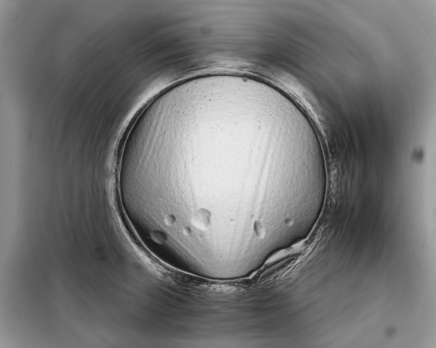 X0000097951235200804070957