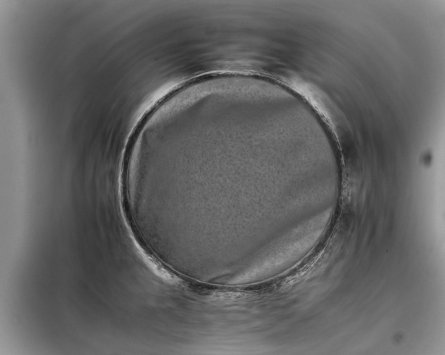 X0000097951237200804070957