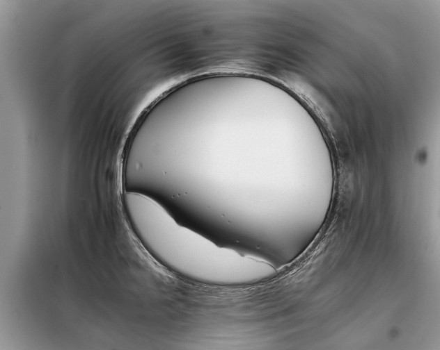 X0000097951238200804070957