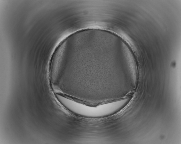 X0000097951240200804070957