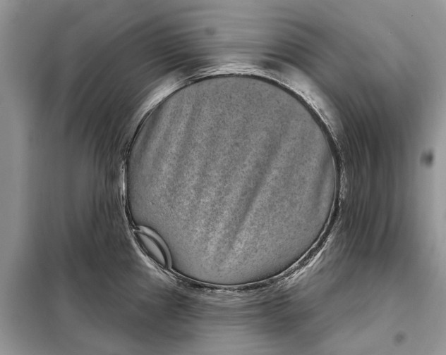 X0000097951241200804070957
