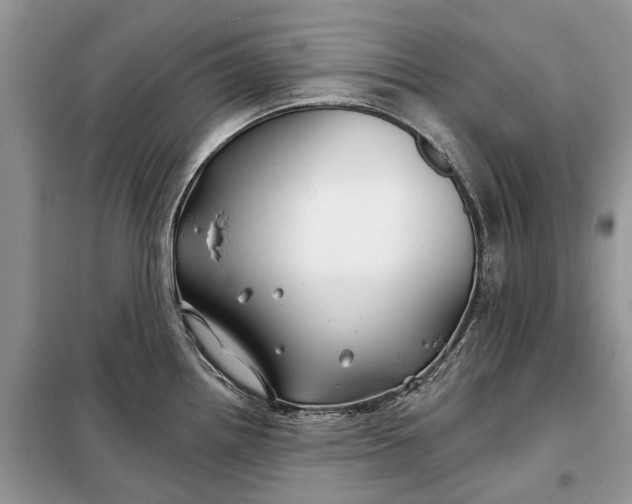X0000097951242200804070957