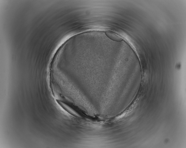X0000097951243200804070957