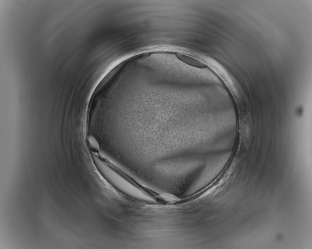 X0000097951244200804070957