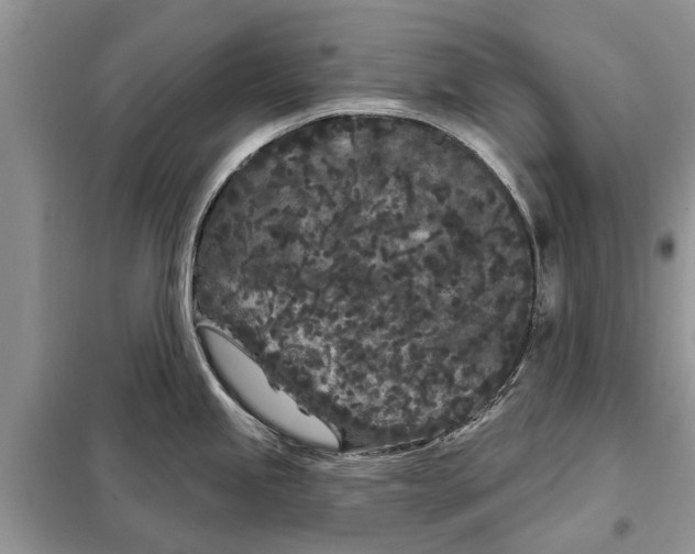 X0000097951245200804070957