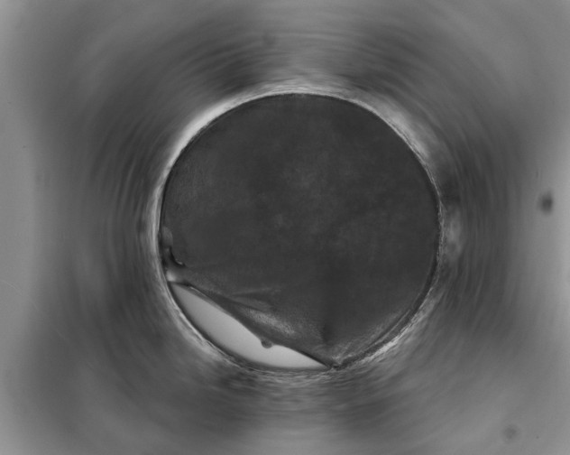 X0000097951246200804070957