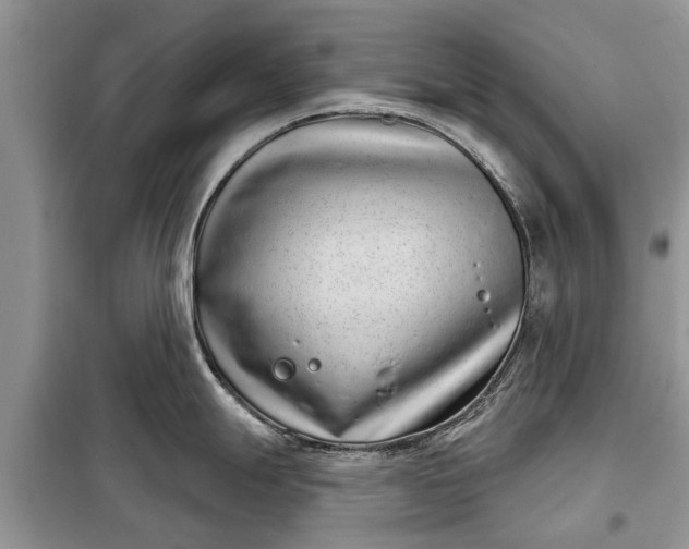 X0000097951247200804070957