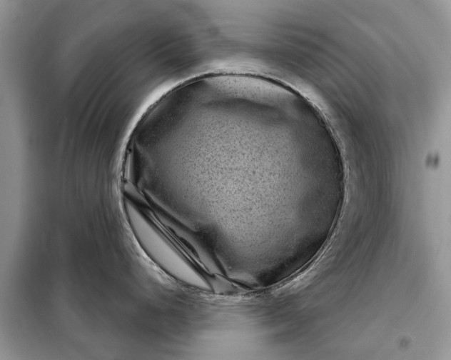 X0000097951248200804070957