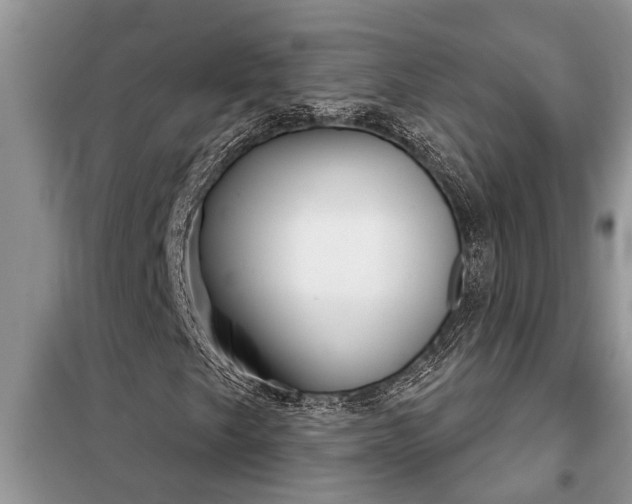 X0000097951249200804070956
