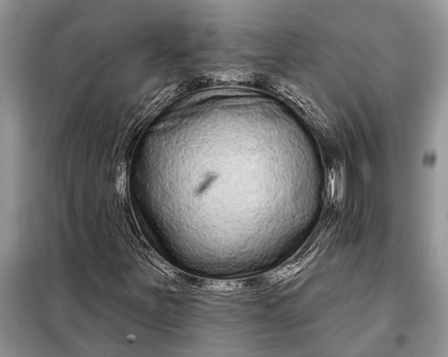 X0000097951251200804070956