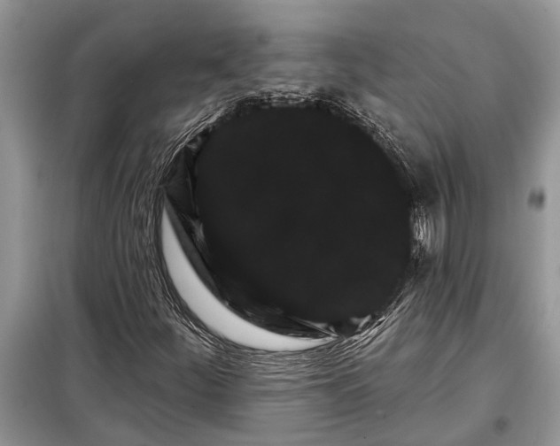 X0000097951252200804070956