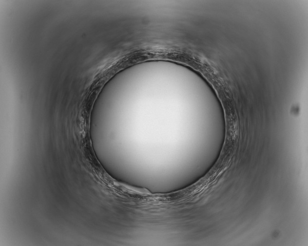 X0000097951253200804070956