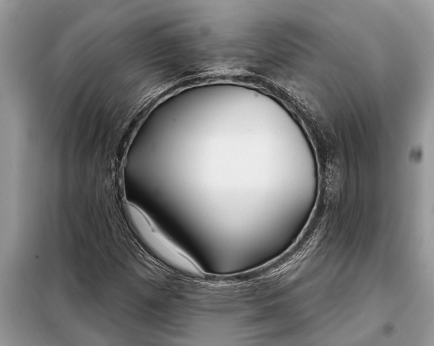X0000097951257200804070956