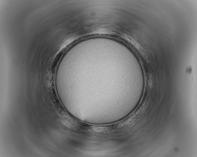 X0000097951258200804070956