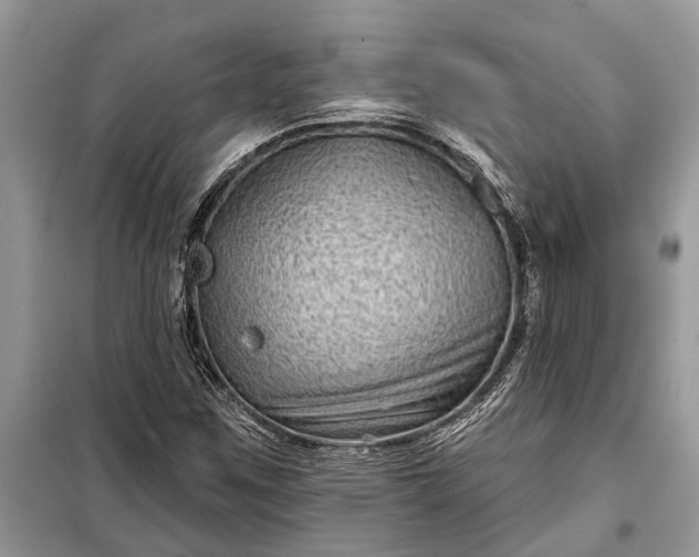 X0000097951259200804070956