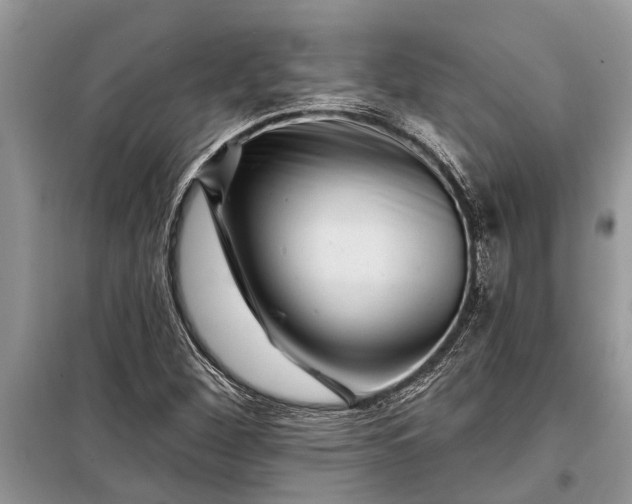 X0000097951260200804070956