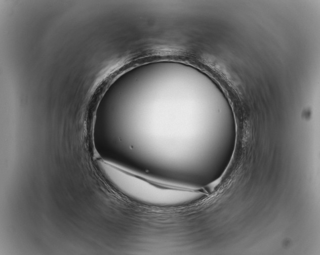 X0000097951261200804070956
