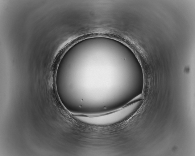 X0000097951262200804070956
