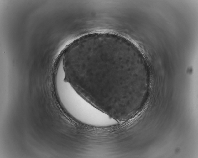 X0000097951263200804070956