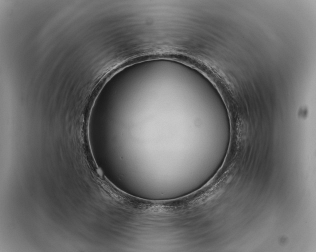 X0000097951265200804070956