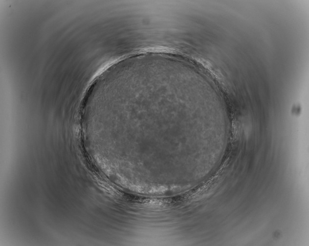 X0000097951266200804070956