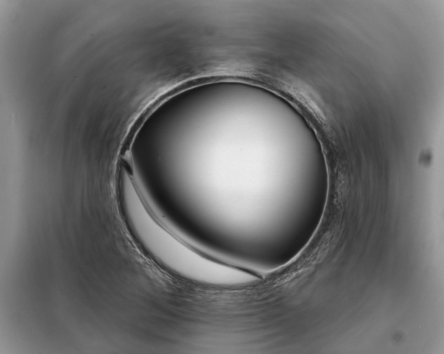 X0000097951268200804070956