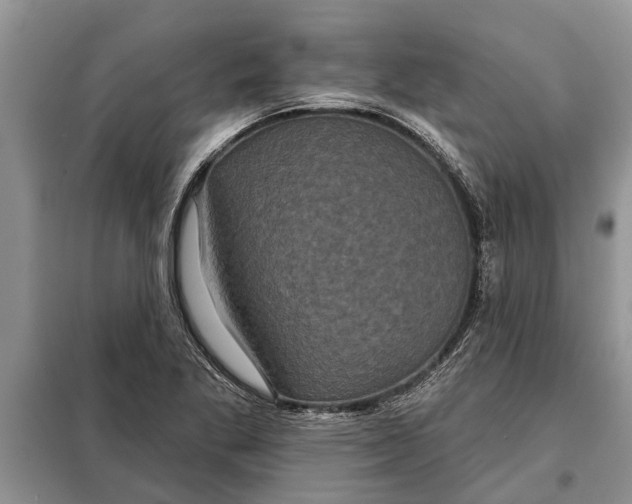 X0000097951269200804070956