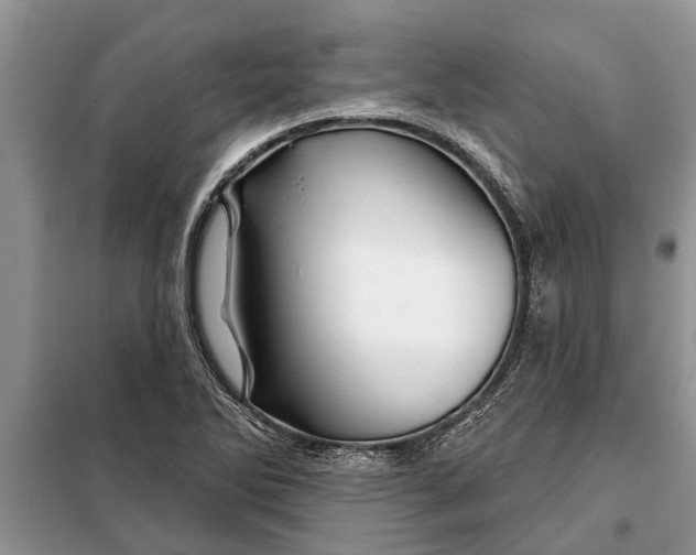 X0000097951270200804070956