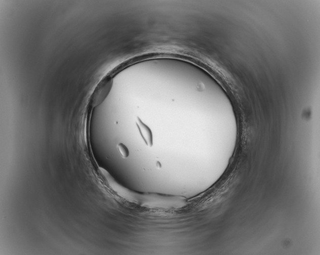 X0000097951272200804070956