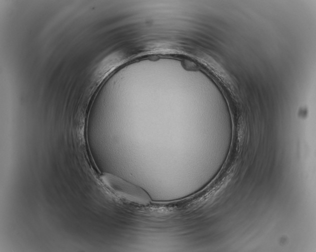 X0000097951273200804070956