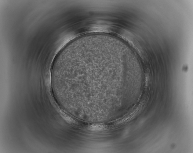 X0000097951274200804070956