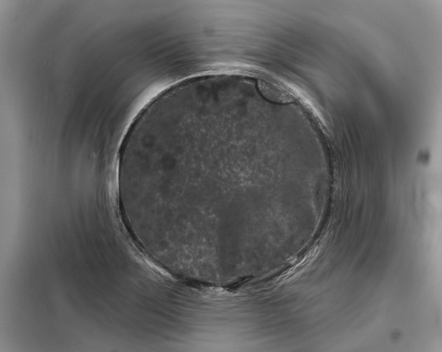X0000097951275200804070956